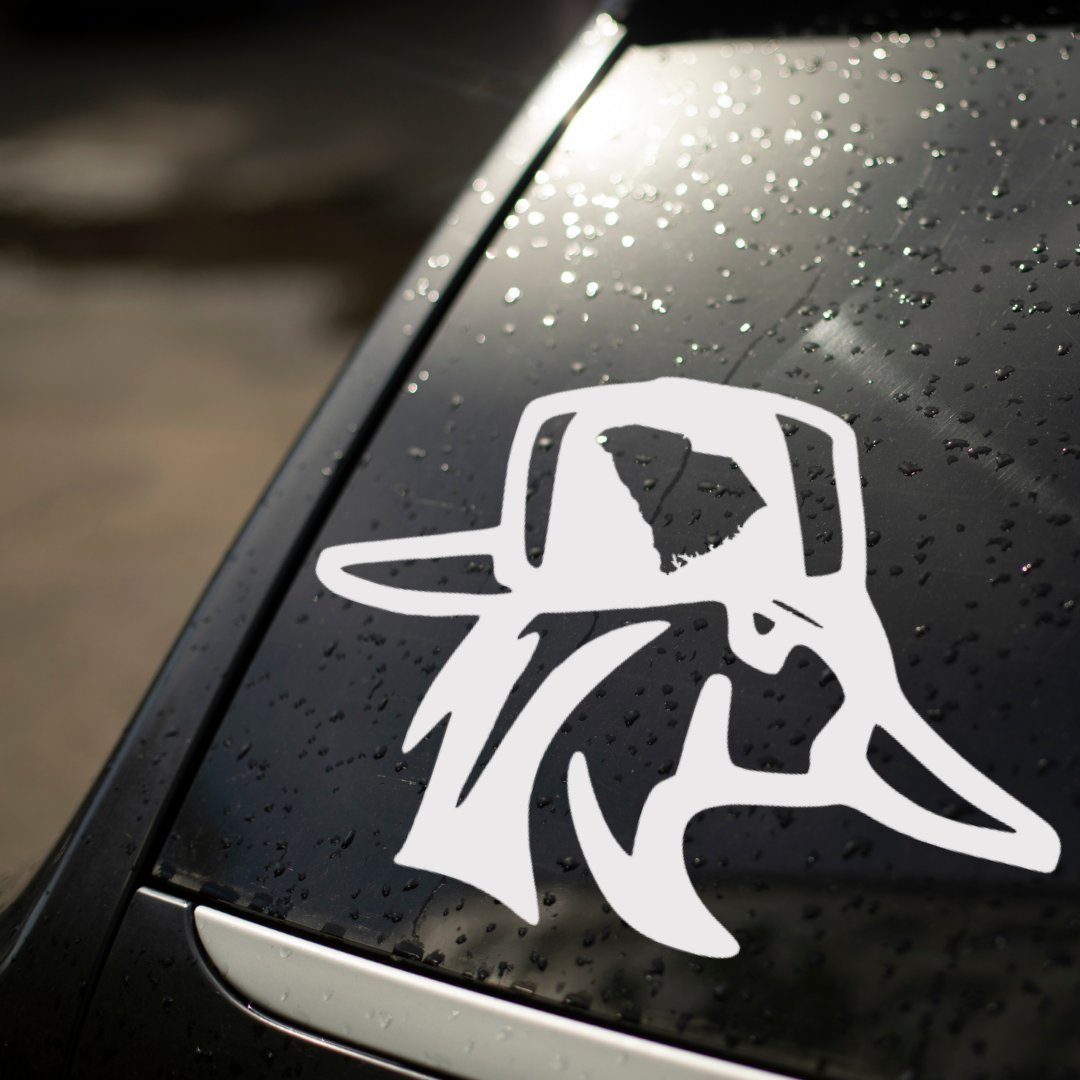 South Carolina Duck With Hat - STATE EDITION