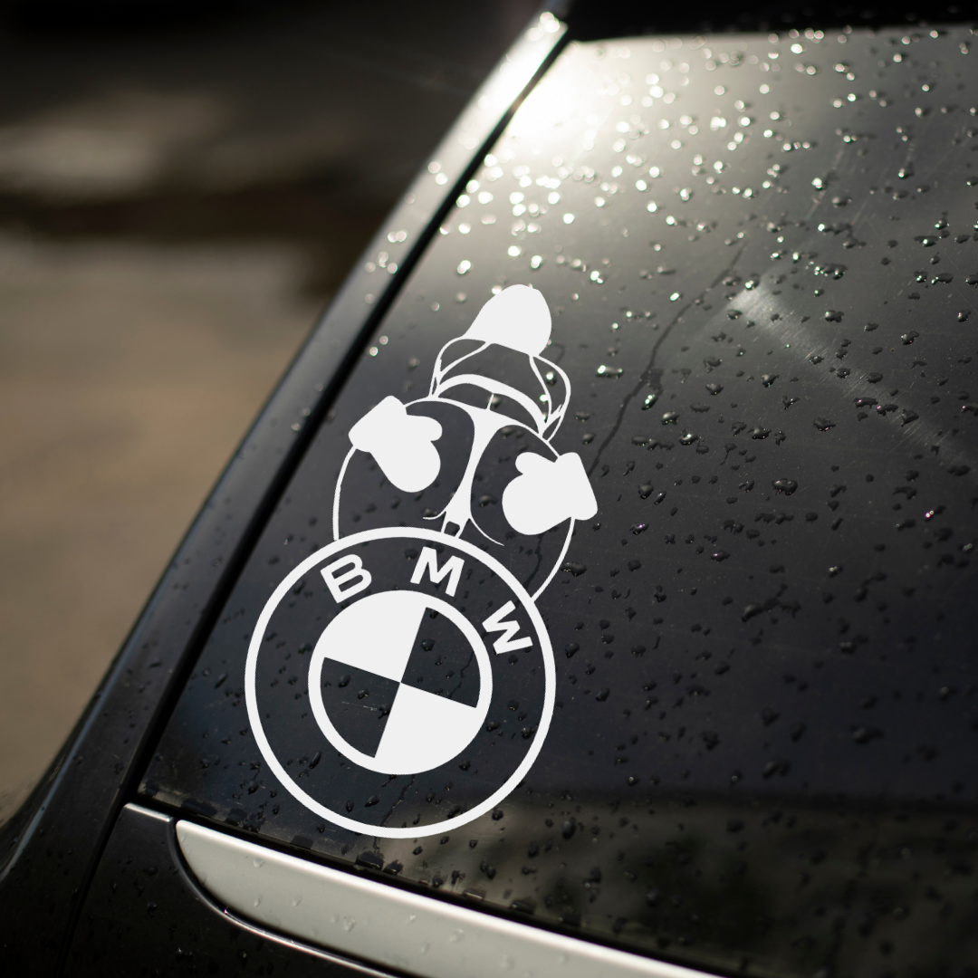 Winter Edition BMW Decal