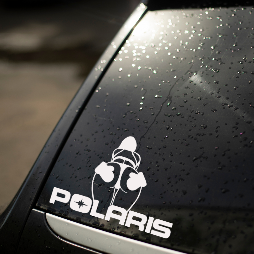 Winter Edition Polaris Decal